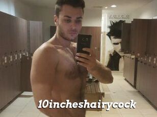 10incheshairycock