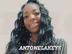 ANTONELAKEYS