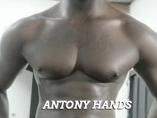ANTONY_HANDS