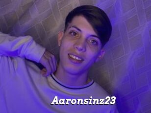 Aaronsinz23