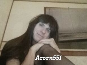 Acorn551