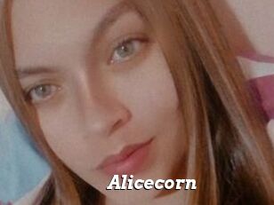 Alicecorn