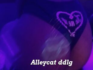 Alleycat_ddlg