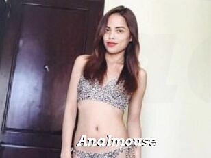 Anal_mouse
