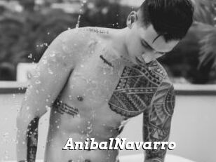 AnibalNavarro