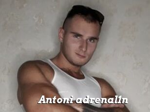 Antoni_adrenal1n