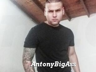 AntonyBigAss