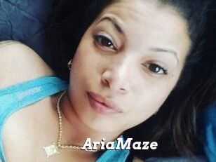 Aria_Maze