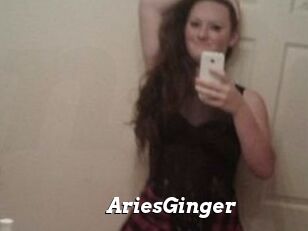 AriesGinger