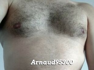 Arnaud95300