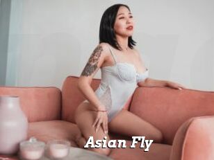 Asian_Fly