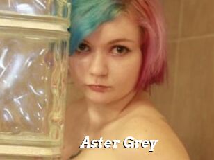 Aster_Grey