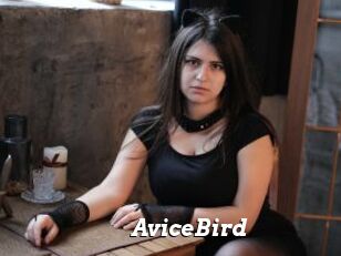 AviceBird