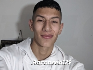 Aaronseb129