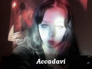 Accadavi