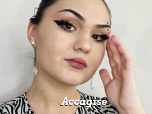 Accagise