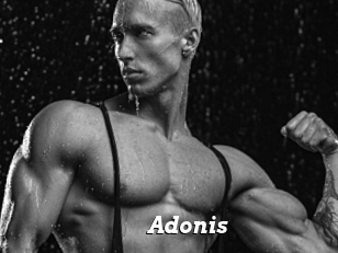 Adonis