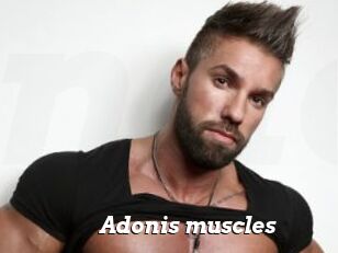 Adonis_muscles
