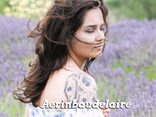 Aerinbaudelaire
