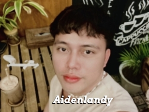 Aidenlandy