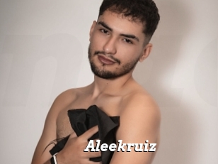 Aleekruiz