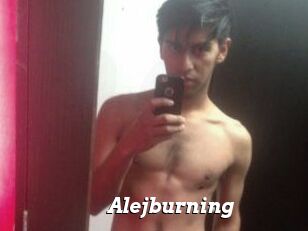 Alejburning