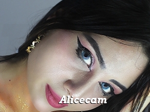 Alicecam