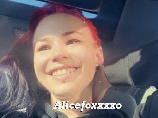 Alicefoxxxxo