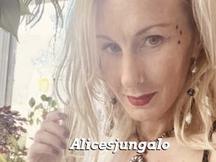 Alicesjungalo