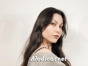 Alodiearnet