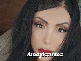 Amaylamusa