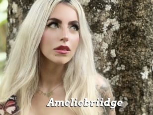 Ameliebriidge
