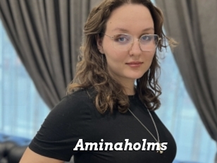 Aminaholms