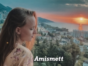 Amismett