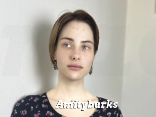 Amityburks