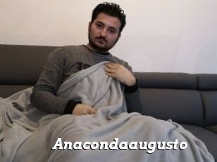 Anacondaaugusto