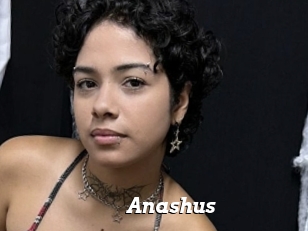 Anashus