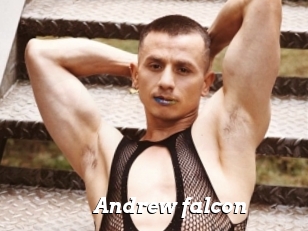 Andrew_falcon