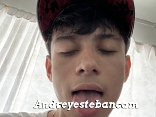 Andreyestebancam
