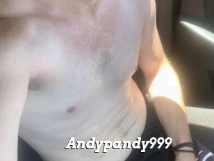 Andypandy999