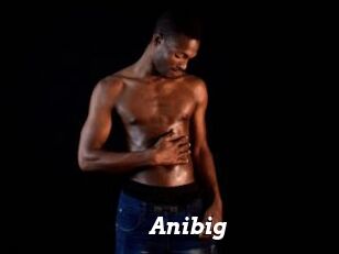Anibig