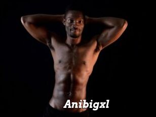 Anibigxl
