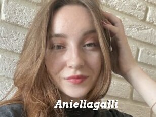Aniellagalli