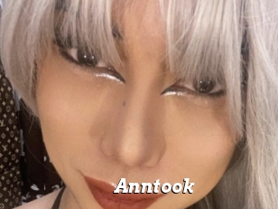 Anntook