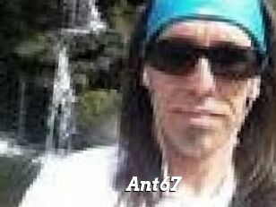 Ant67