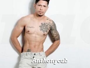 Anthonycub