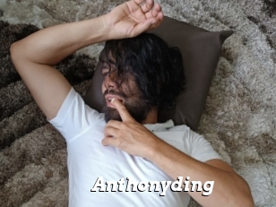 Anthonyding