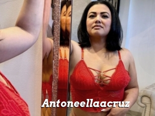 Antoneellaacruz