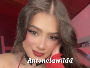 Antonelawildd