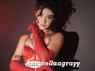 Antonellaagrayy